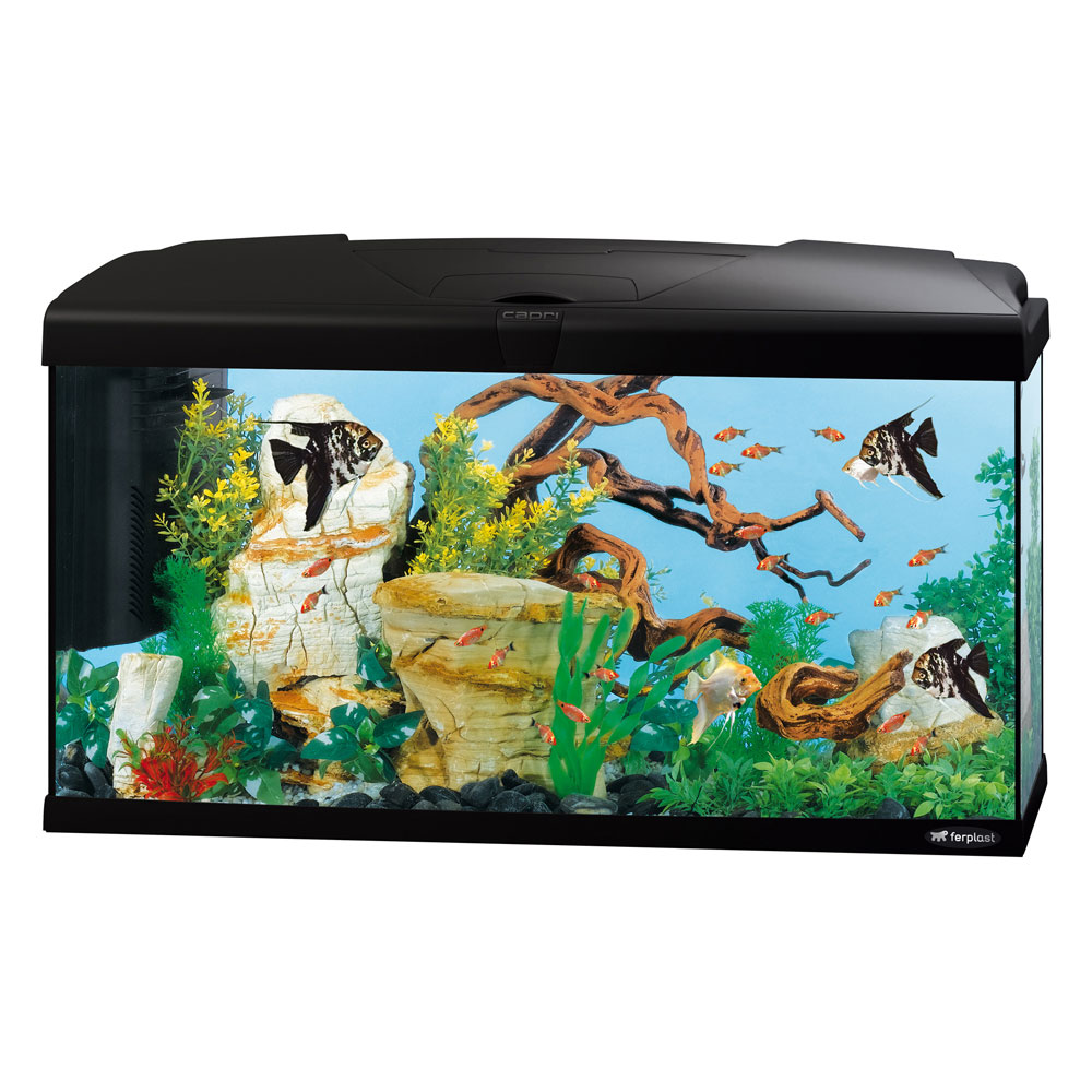 Hydor aquarium capri 80 led, en verre, lampes led, capacité 100 l, filtre interne et chauffage, noir