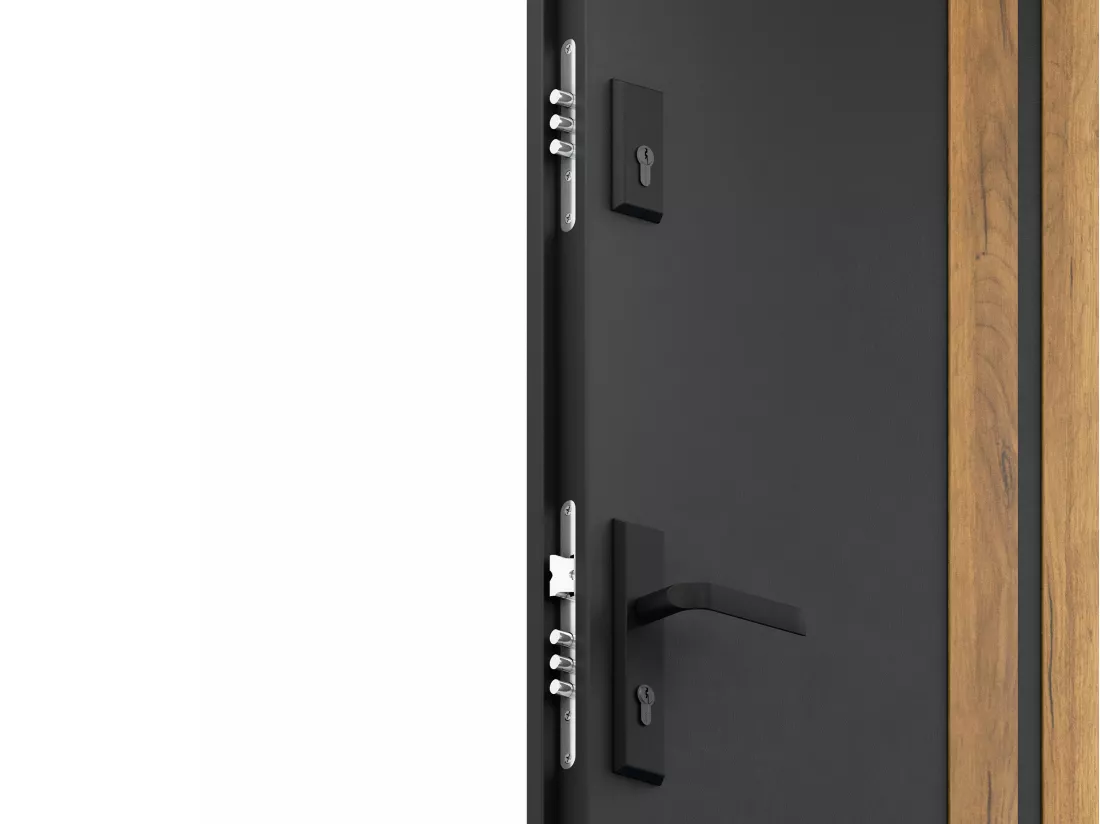 Porte d'entrée pleine en acier H207 x L100 cm - Noir avec rayures effet chêne - poussant droit - COBRITA