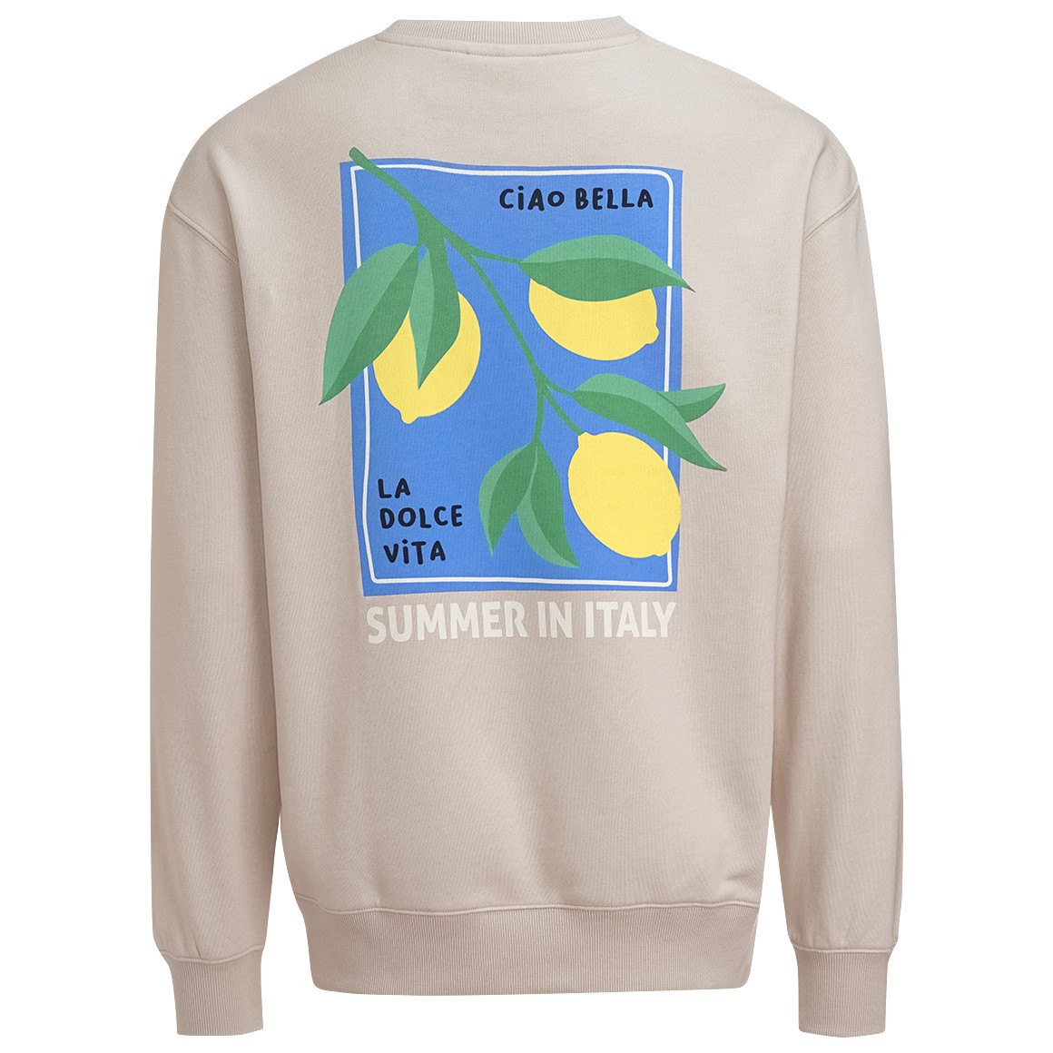 Jonas Nielsen Herren Sweatshirt mit Backprint beige