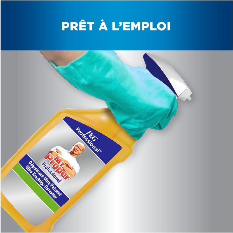 Nettoyant dégraissant puissant Mr Propre Professional - Spray 750 ml