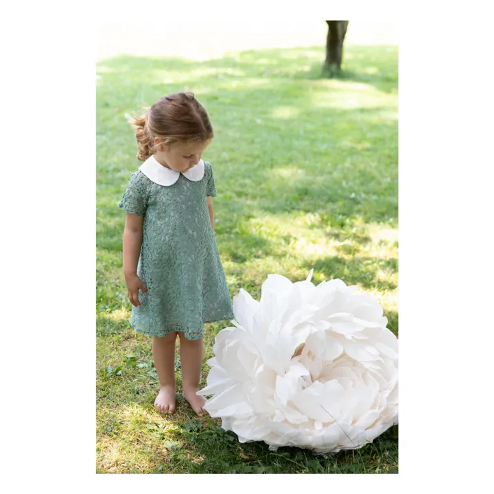 Zhoe & Tobiah Robe Dentelle | Vert argile