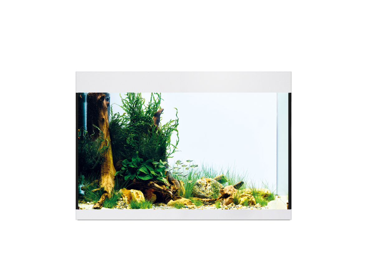Oase StyleLine 175 Aquarium Wit