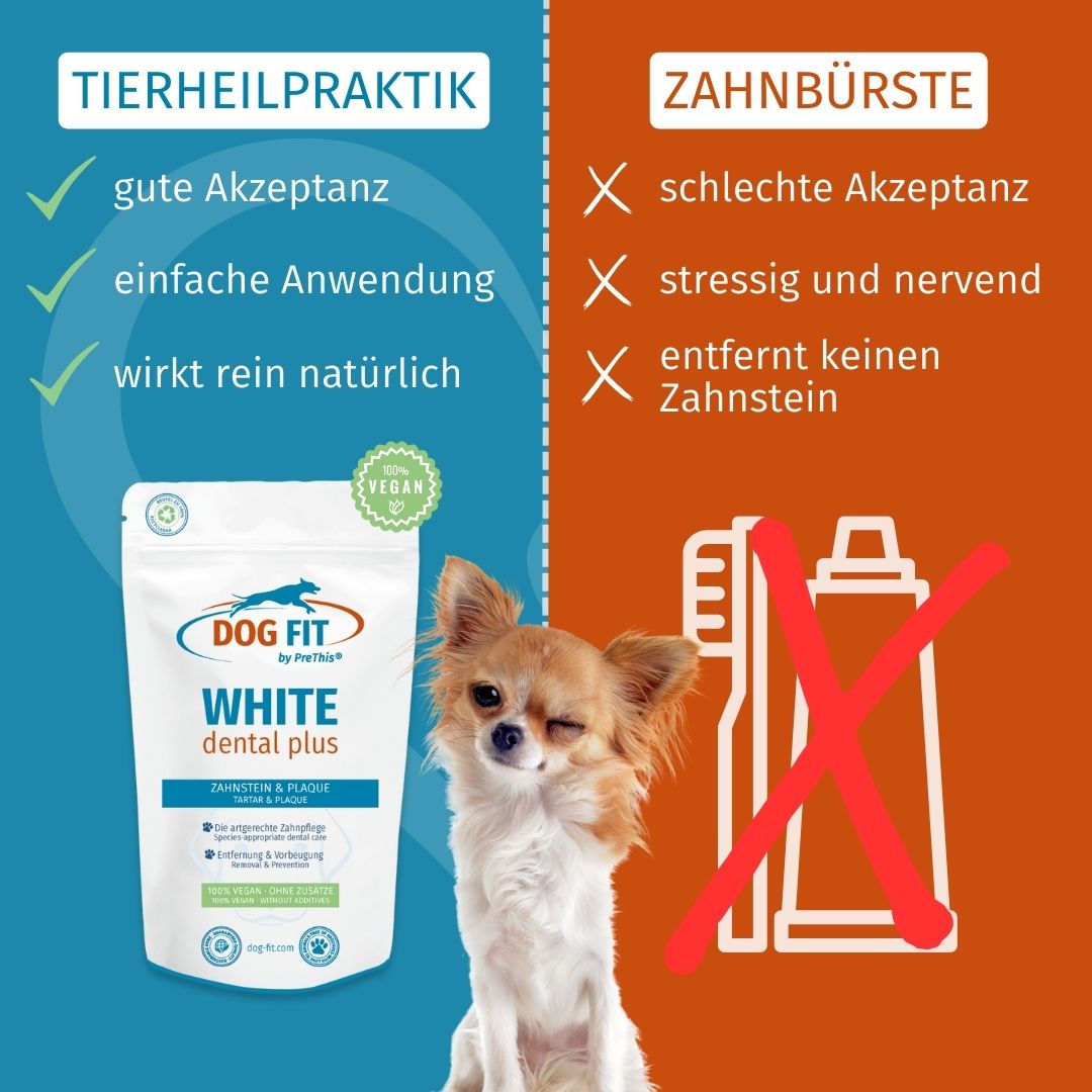 DOG FIT by PreThis® WHITE dental plus » Zahnsteinreduzierung & Zahnpflege für Hunde