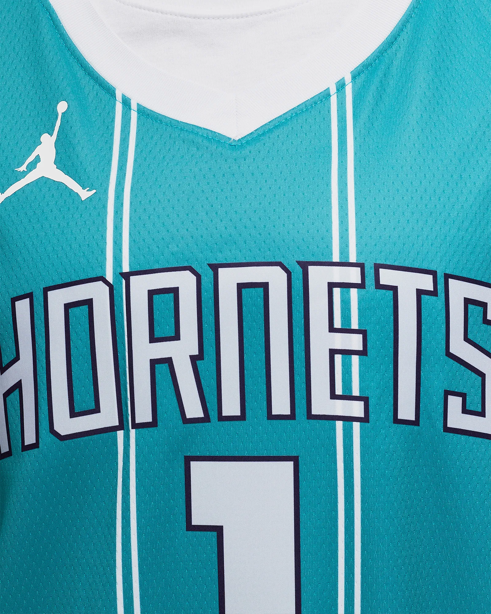 Nike Charlotte Hornets Icon Edition 2022/23 Jordan Dri-FIT NBA Swingman Trikot