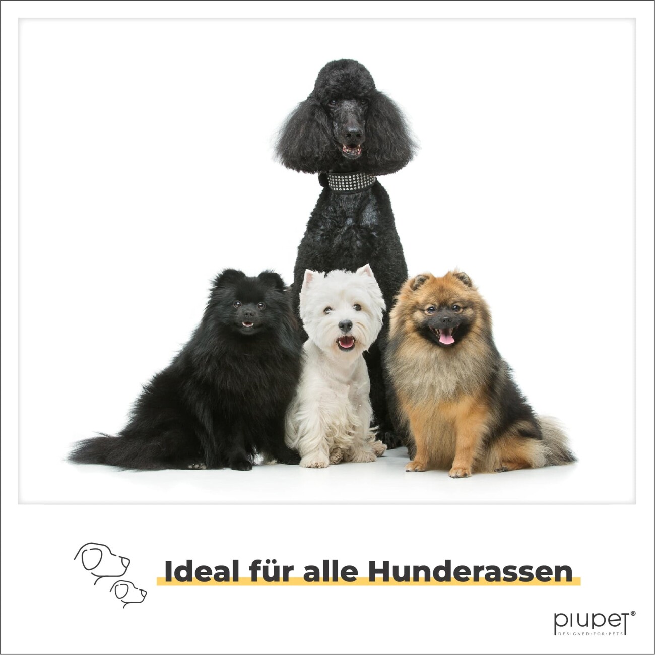 PIUPET Hundeleine grau