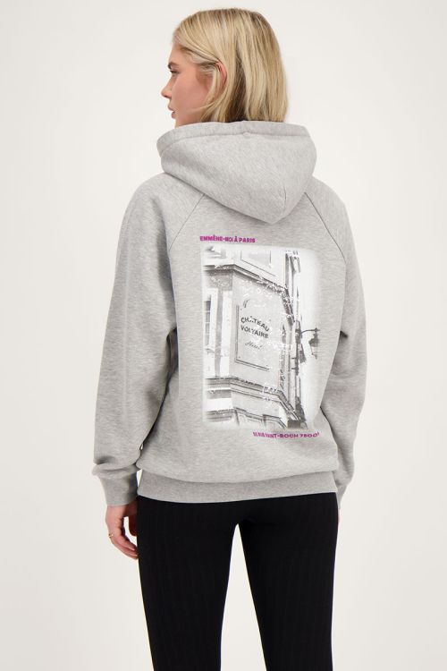 Grijze hoodie emmène-moi à Paris