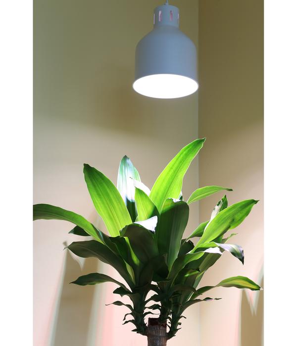 Venso Lampenschirm Saga für Pflanzenlampe