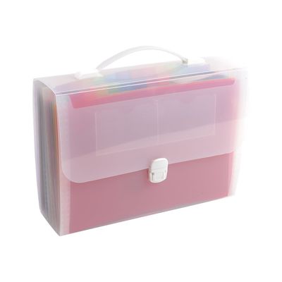Exacompta Crystal - Valisette trieur à soufflet 24 comp - A4 - capacité : 800 feuilles - à onglets