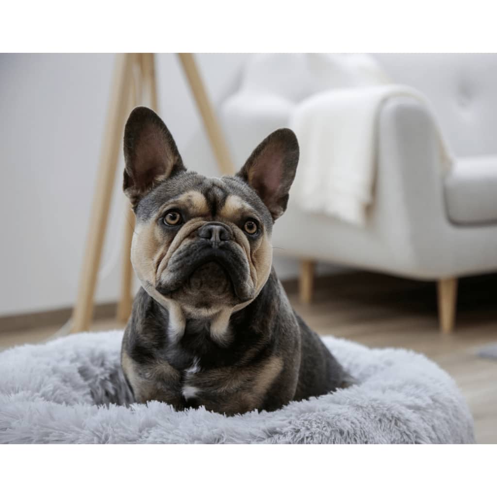 Cama para cachorro