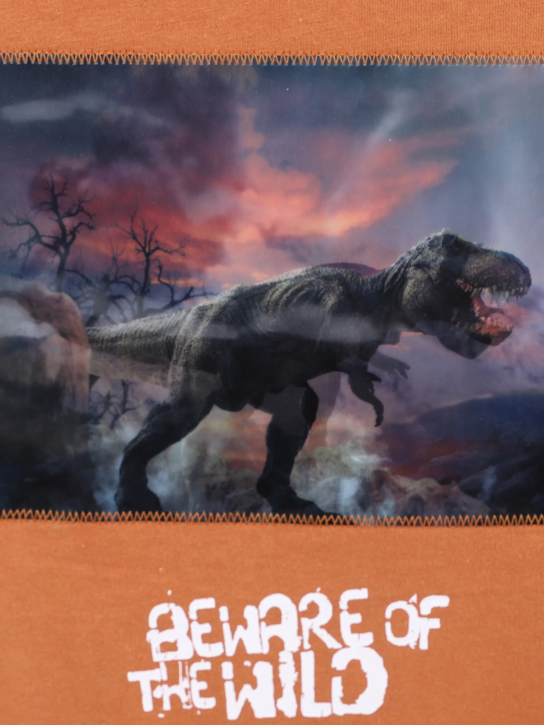 Jungen Langarm Shirt mit Dino Wackelbild