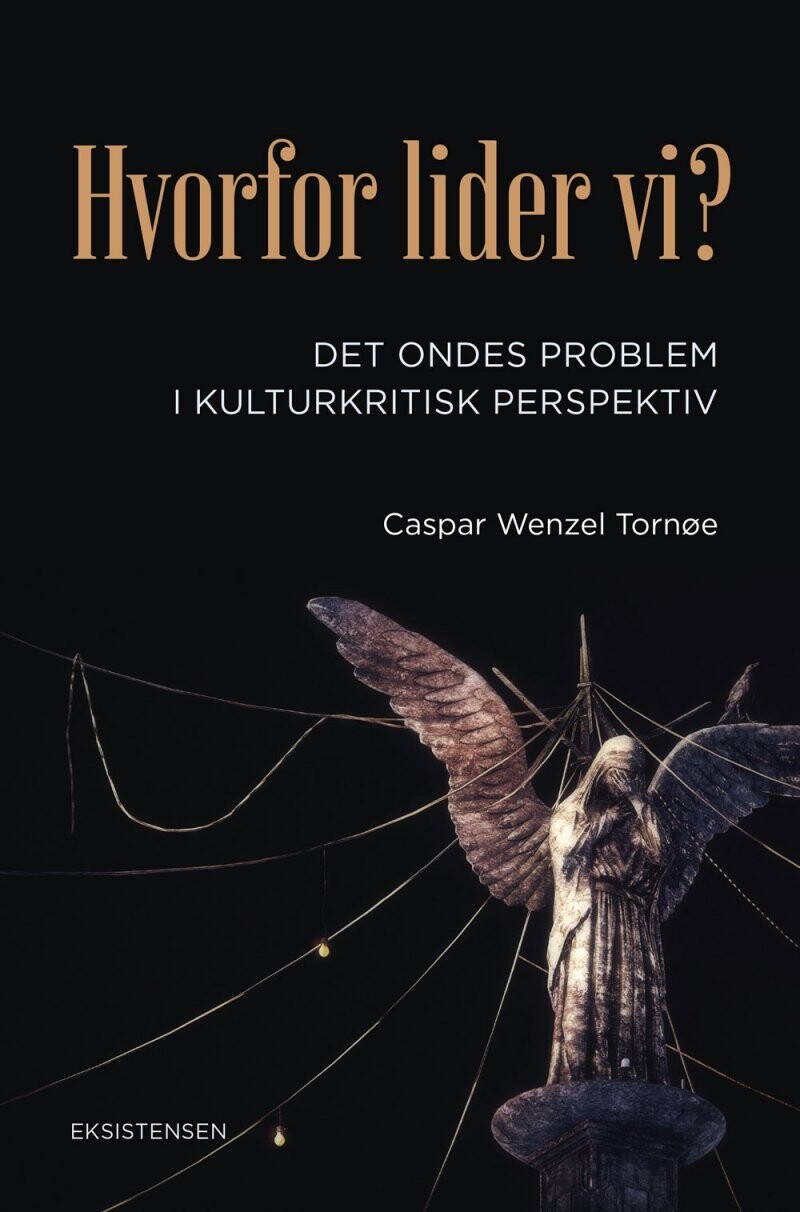 Hvorfor Lider Vi? - Caspar Wenzel Tornøe - Bog