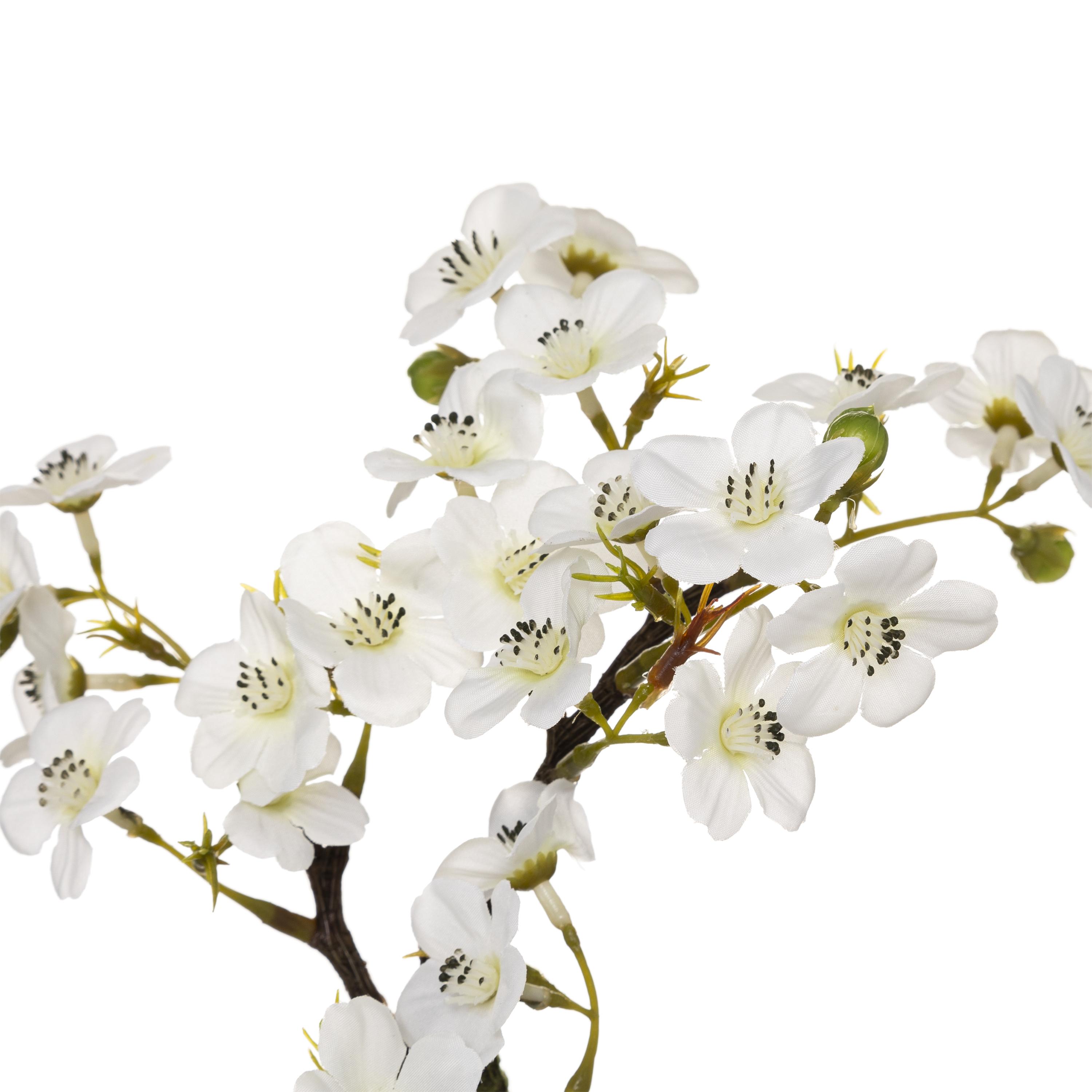 CERISIER EN POT H.26CM