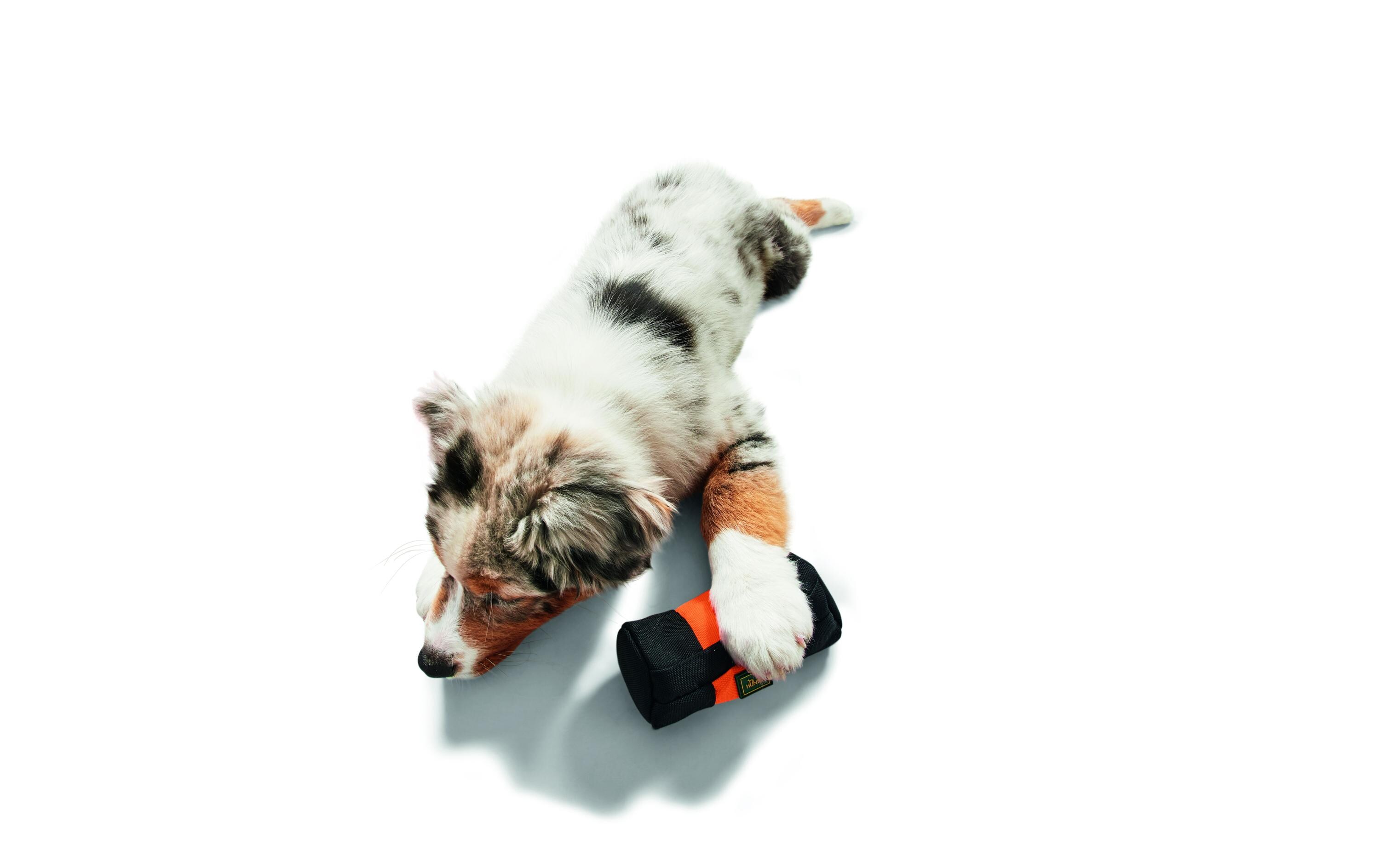 Snack-Tasche Trainer Dummy S, OrangeFutterbeutel für das Training oder das Gassi gehen