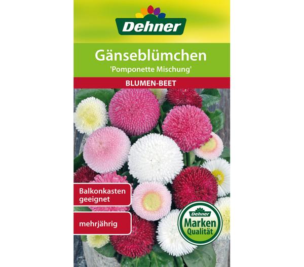Dehner Samen Gänseblümchen 'Pomponette