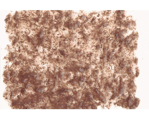 Tetra FreshDelica Pekelgarnalen 48 gr