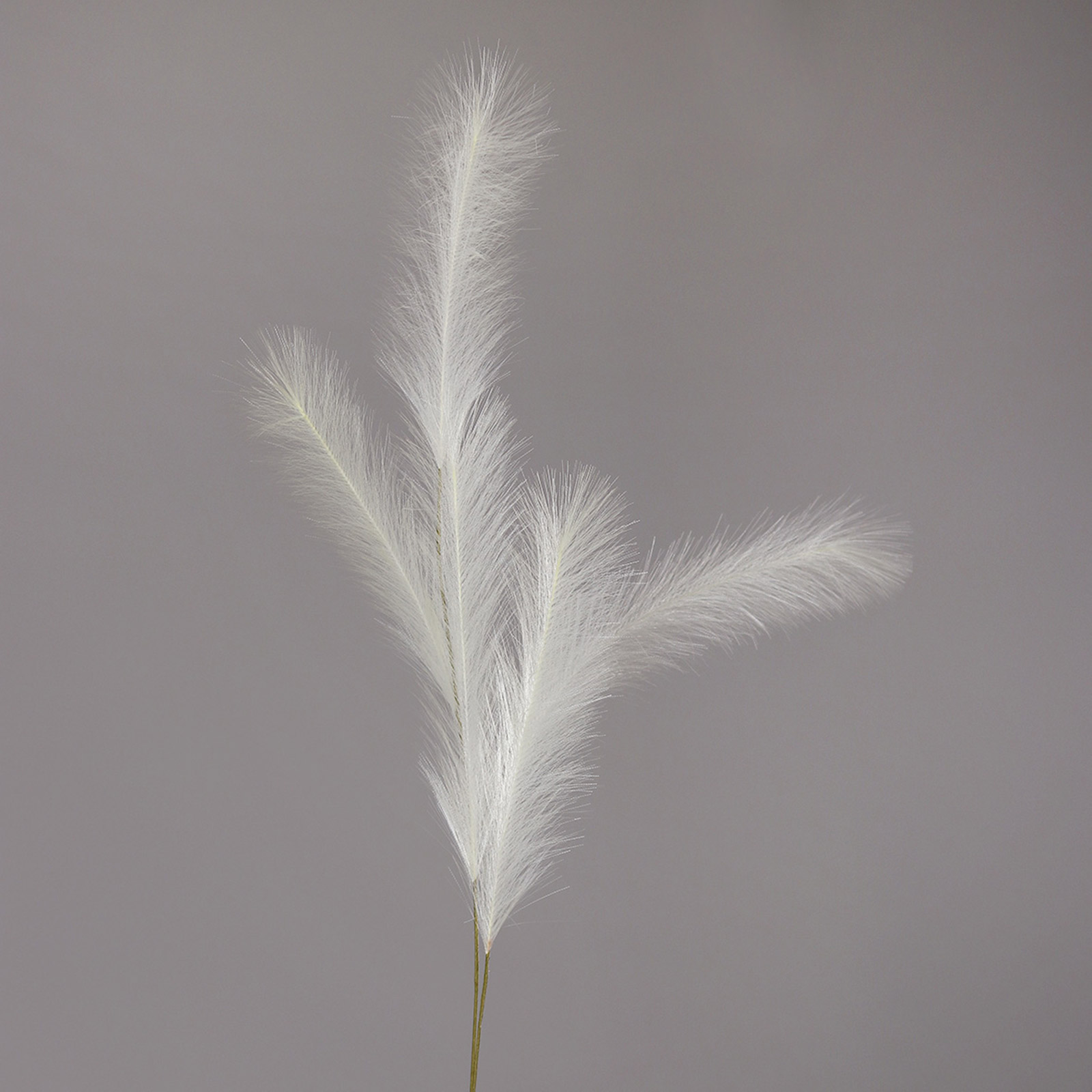 Pampas-Gras - weiß - Kunststoff -145 cm