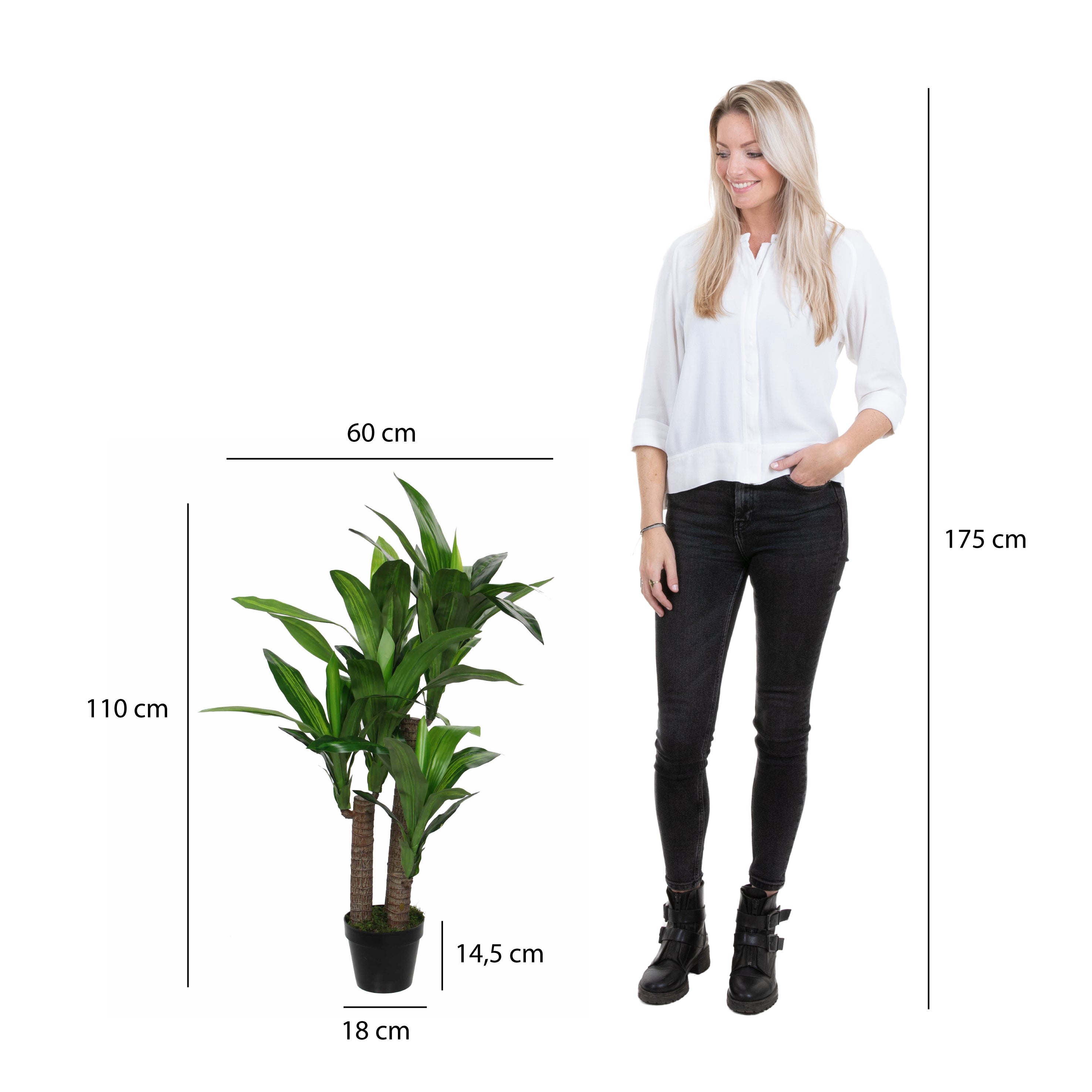 Mica Decorations Dracaena in pot groen - h110xd60cm