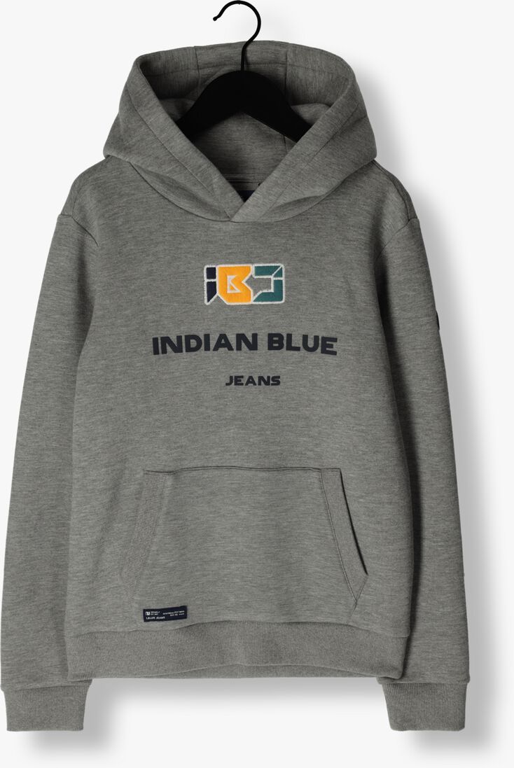 INDIAN BLUE JEANS grijze indian blue jeans trui hoodie ibj pique scuba