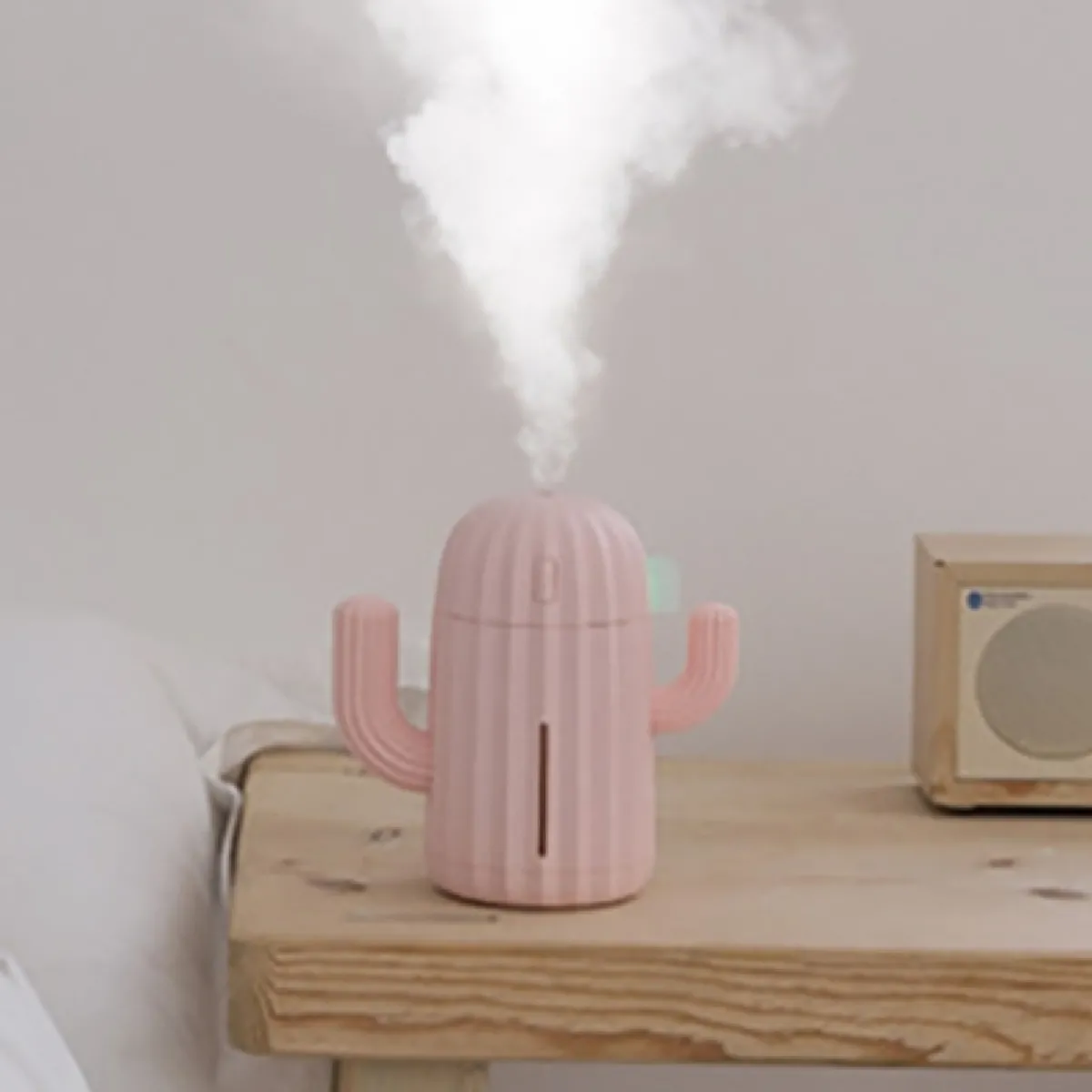 WEWOO Humidificateur Cactus