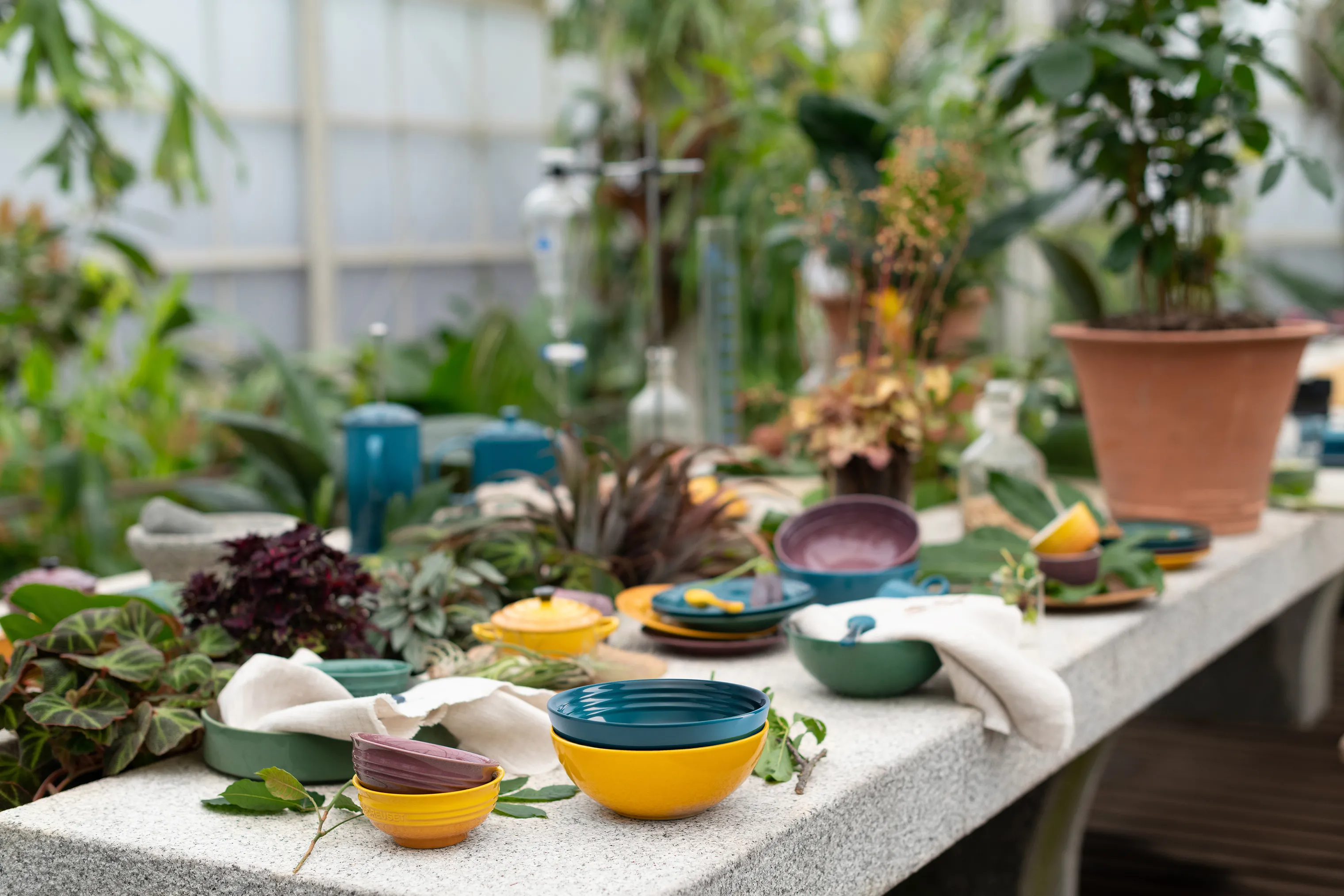 Le Creuset Botanique Desserttallerken - 4 stk.