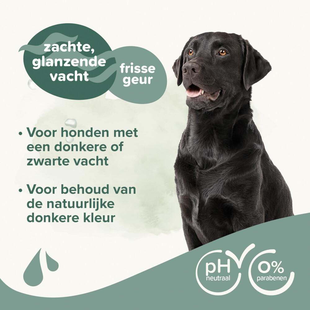 Beaphar Hondenshampoo Zwarte Vacht250 ml
