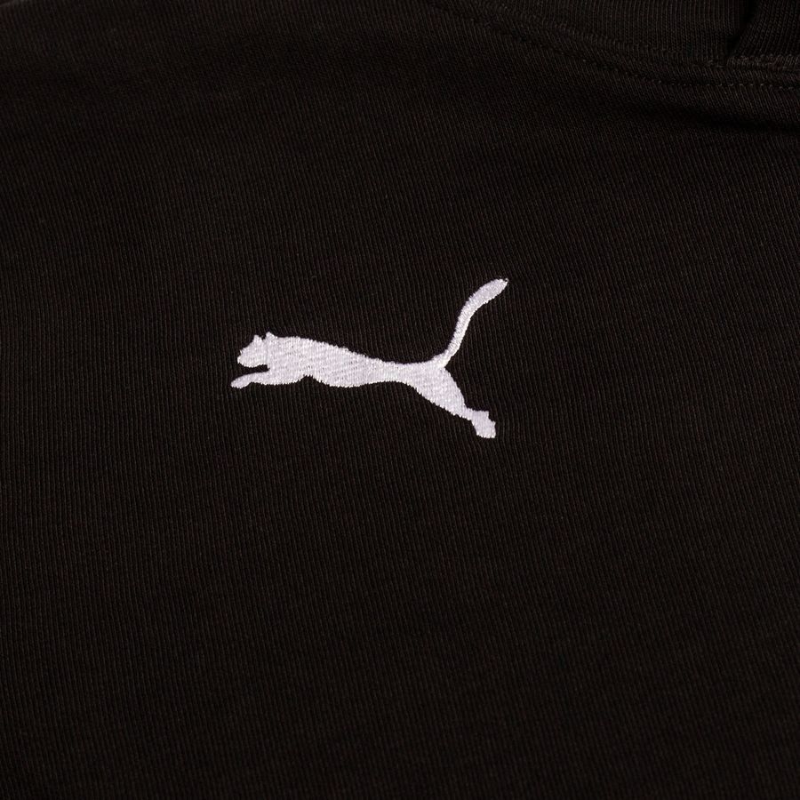 PUMA Sweat à Capuche teamGOAL 23 Casuals - Noir/Blanc