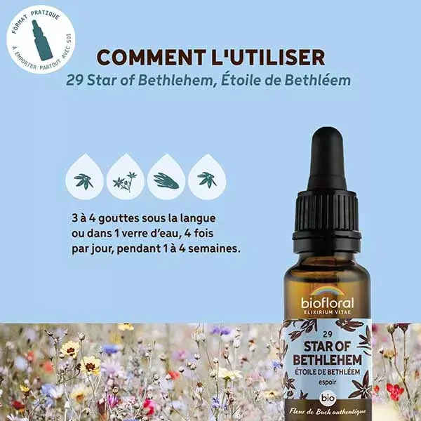 Florais de Bach Biofloral 29 Estrela de Belém em gotas, Orgânico com Certificação Demeter, 20 ml