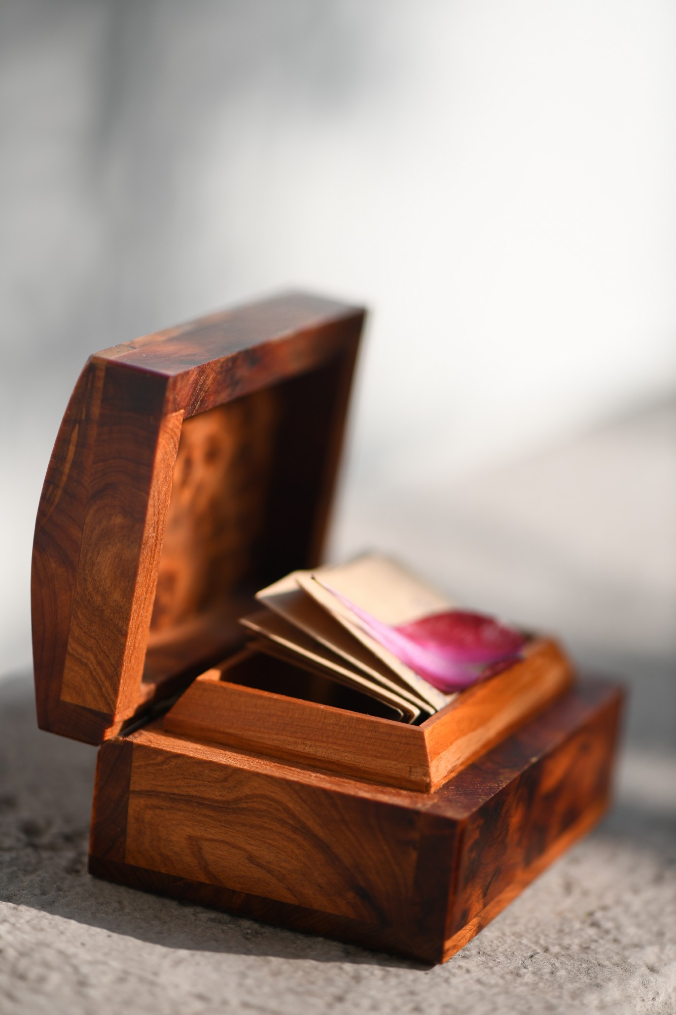 Thuja Box, braun, T 9 cm, B 6 cm, H 4 cm von fischer's lagerhaus