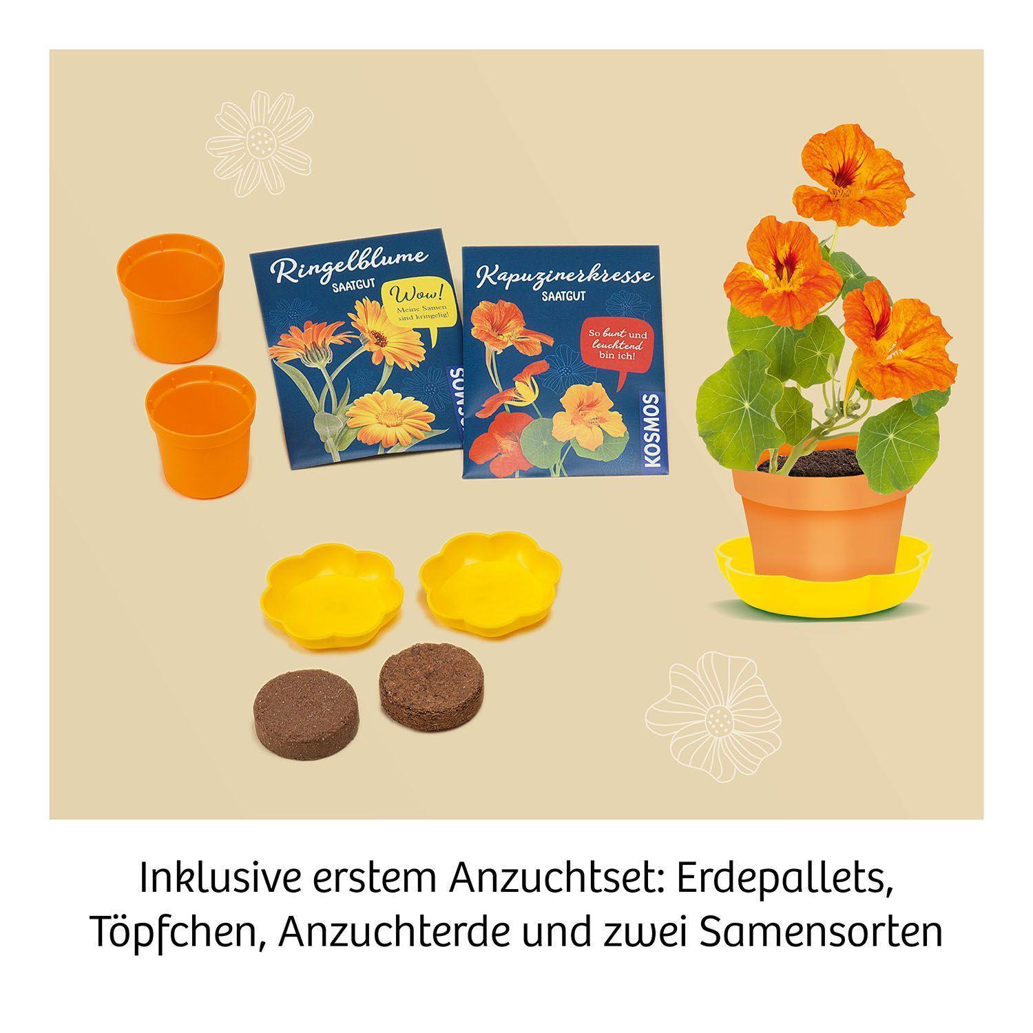 Blüten-Presse