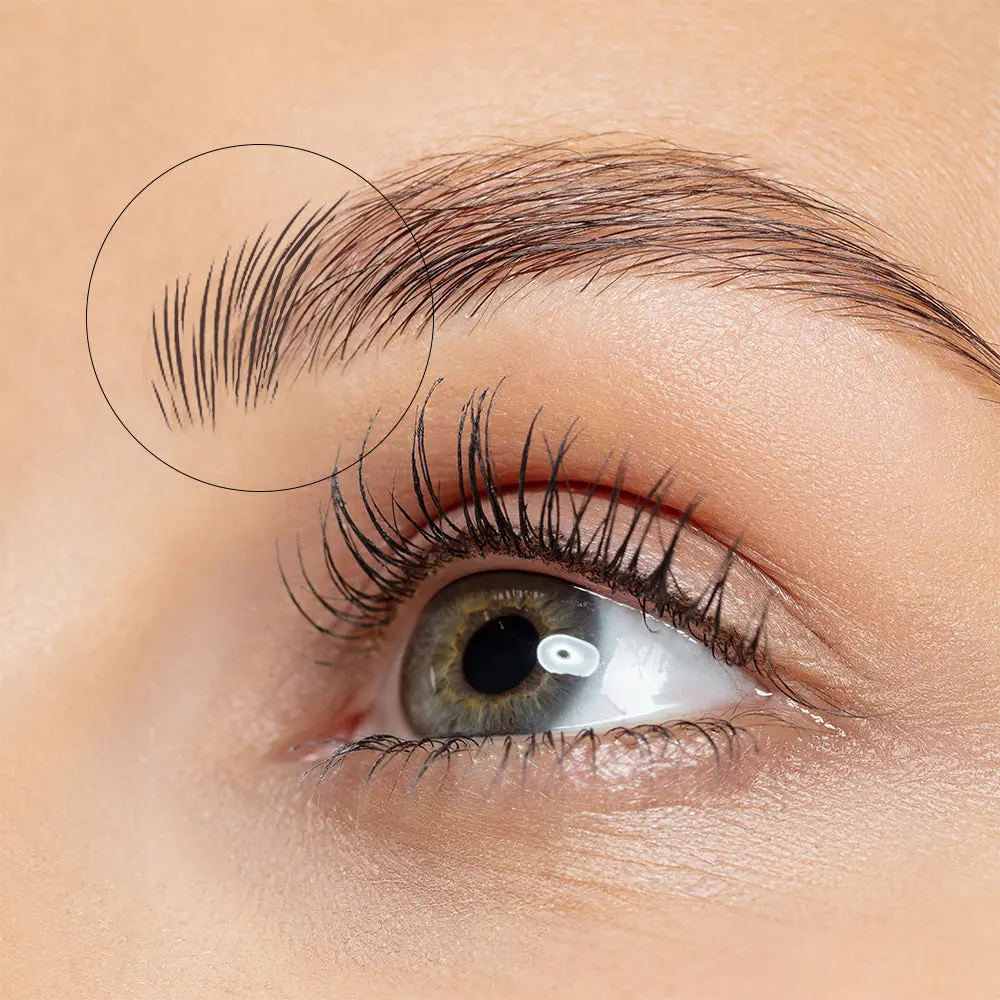 UP42 Square Angled Brow Brush
