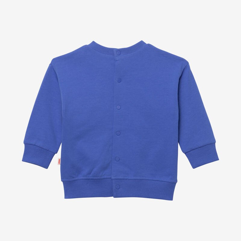 Sweat bébé garçon poulpe et tigre bleu Catimini Bleu