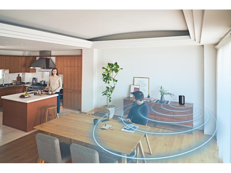 Sony Smart Speaker SRS-RA3000 Schwarz Premium-Lautsprecher für unaufdringlichen raumfüllenden Klang