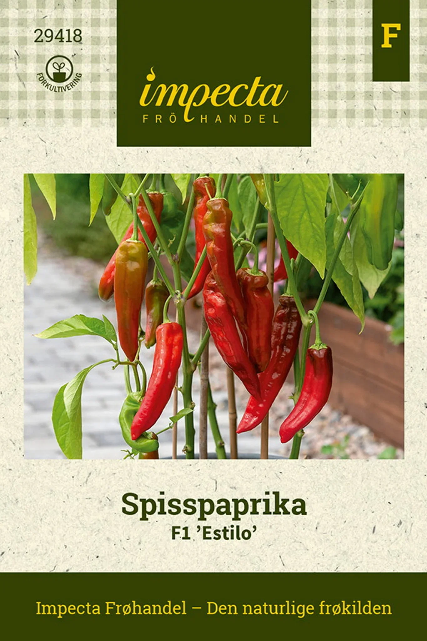 Capsicum annuum F1 'Estilo' Spisspaprika F1 'Estilo'