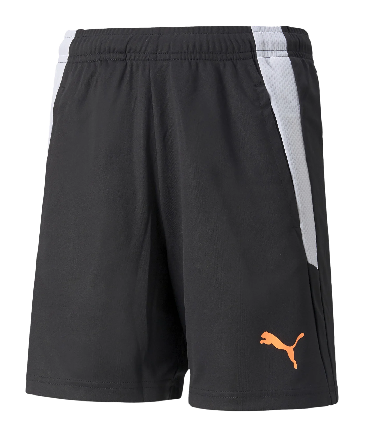 PUMA teamLIGA 2 Instinct Short Kids Schwarz F45