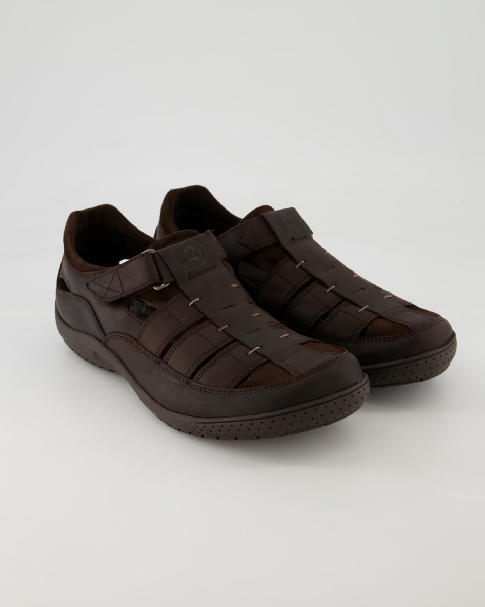 Panama Jack Meridian Basics C1 Slipper in Braun