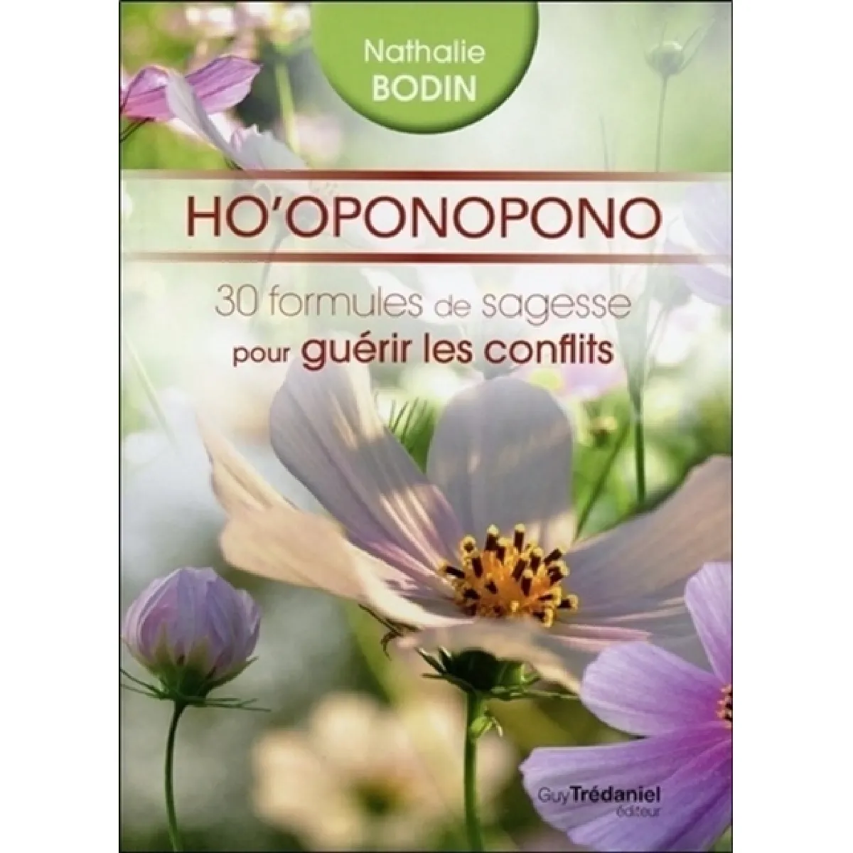 Ho'oponopono : 30 formules de sagesse pour guérir les conflits · Occasion