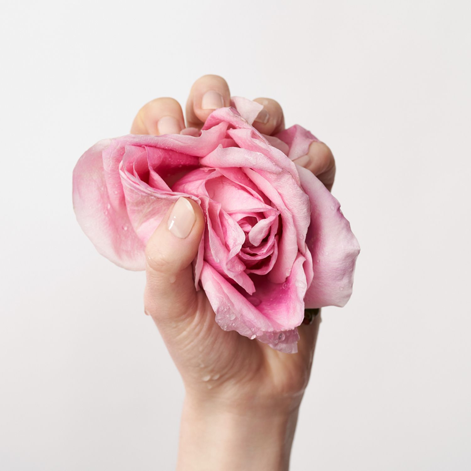 BÖRLIND ROSE NATURE Glow Set