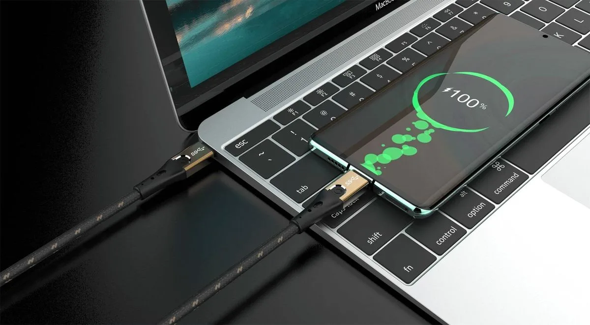 Oehlbach USB Primus CC (1 m) Câbles USB