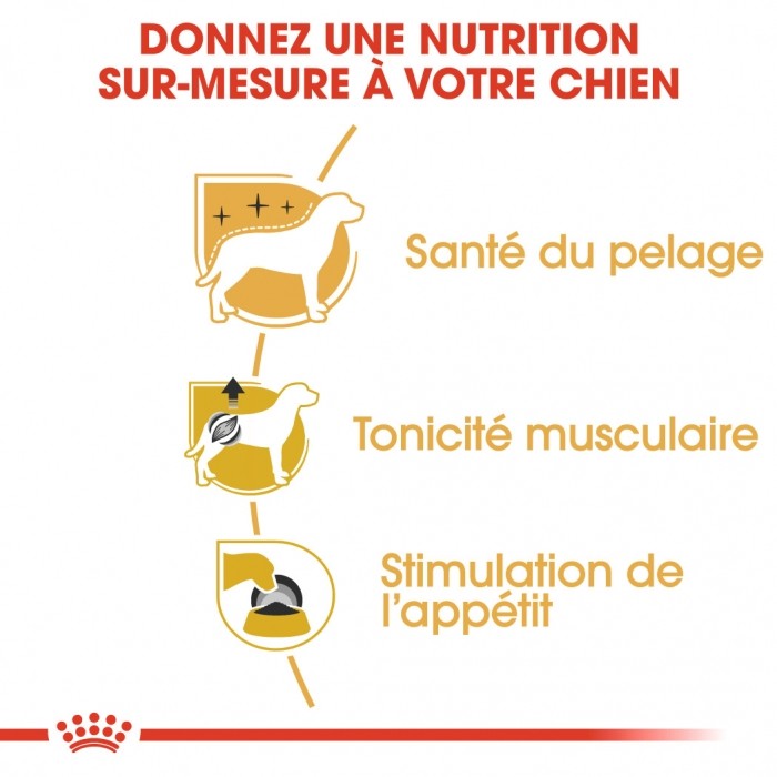 Royal Canin Caniche (Poodle) - Pâtée pour chien