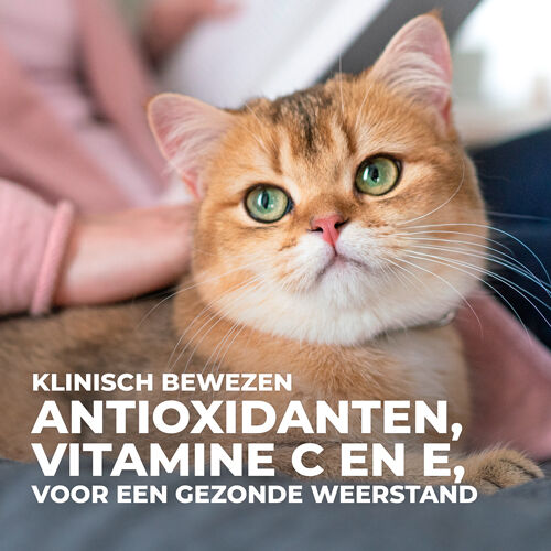Hill's Science Plan Perfect Weight - Kattenvoer - 1.5 Kilogram - kip