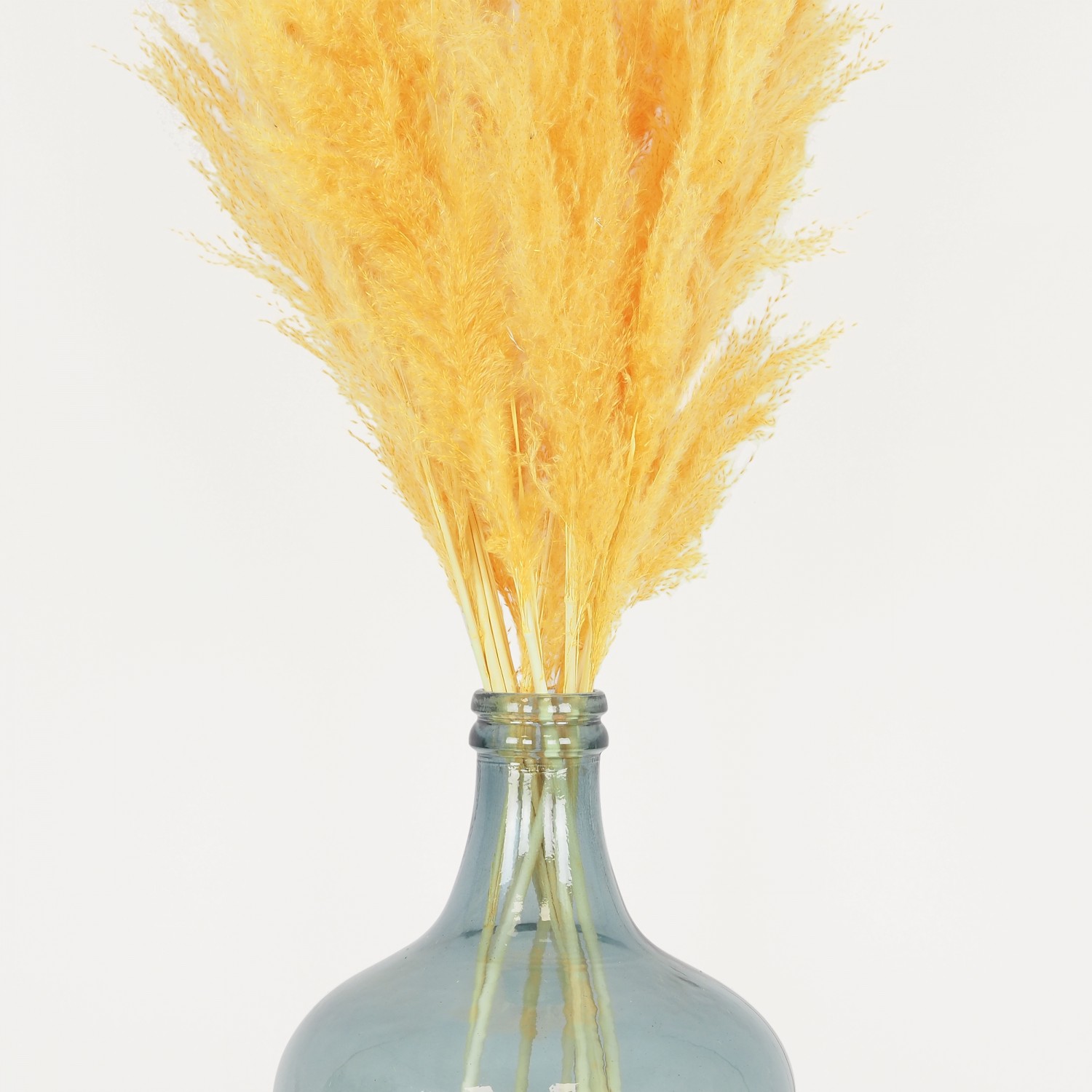 Plumeau plante pampa jaune 110cm lot de 9