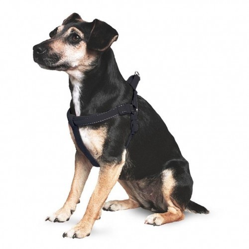 Coleira para cães em nylon acolchoado e refletor, preta.