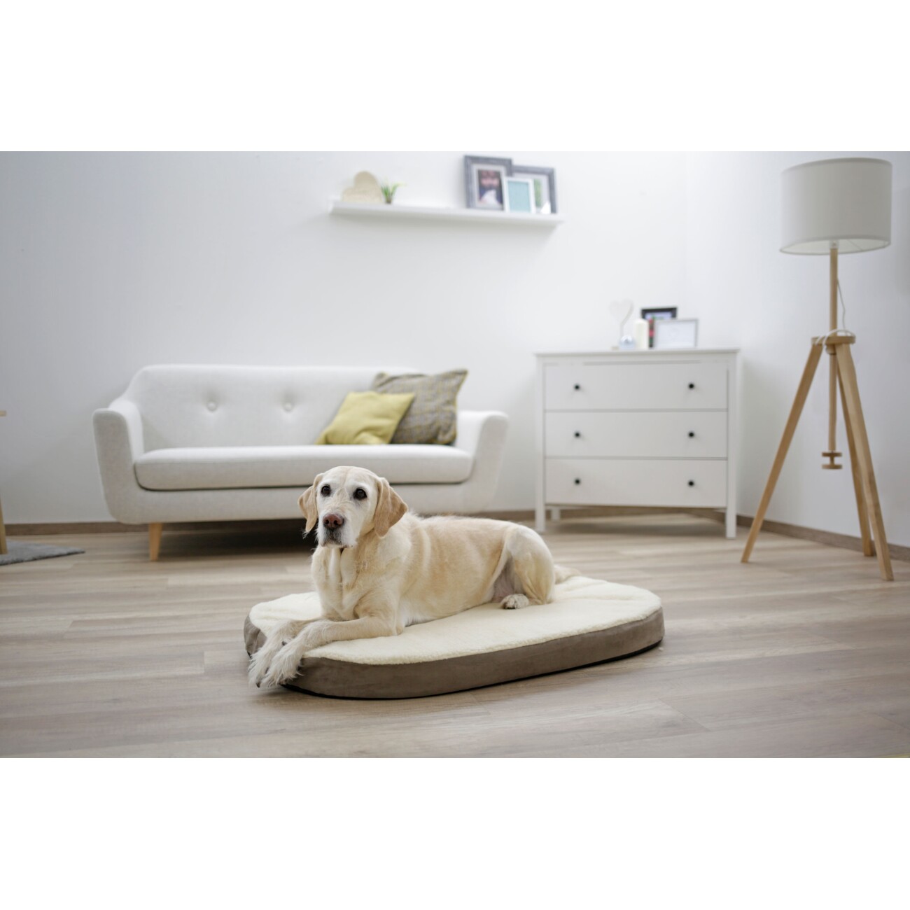 Kerbl Pet Matratze für Hunde Memory-Foam, Taupe/Beige, 72x52x8cm M