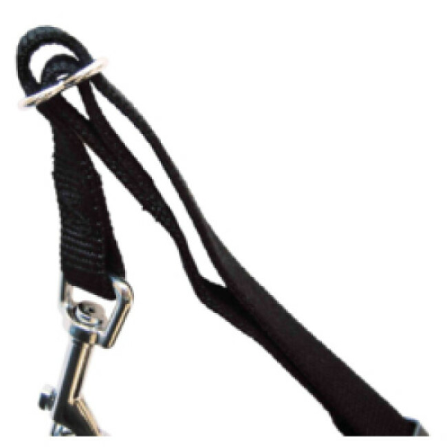 Ceinture de sécurité Friends on tour pour chiens