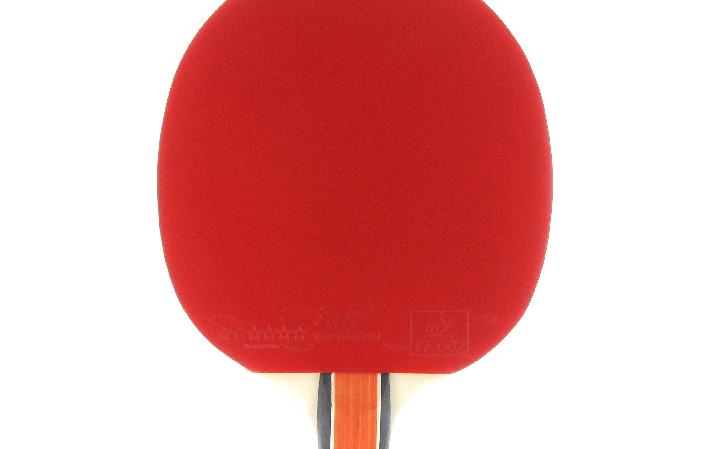 Tischtennisschläger Sport 300Tischtennisschläger