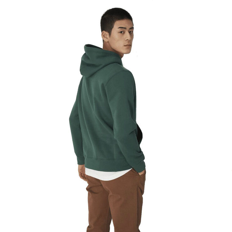 Champion hooded sweatshirt Green