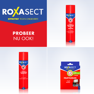 Roxasect Vliegenvanger 4ST