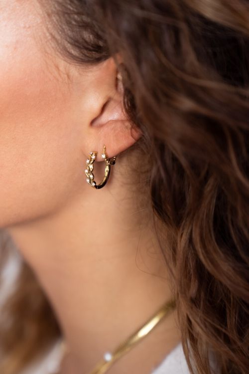 Oorringen in bladvorm met strass