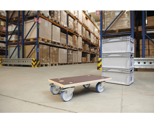 Transportrol Wagner MM1341 Multiplex 580 x 300 mm