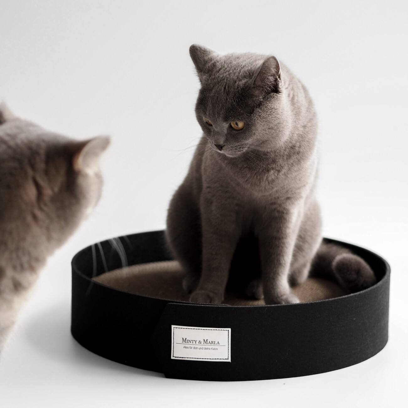 Minty&Marla Kratzbrett Kratzpappe inkl. Katzenminze schwarz